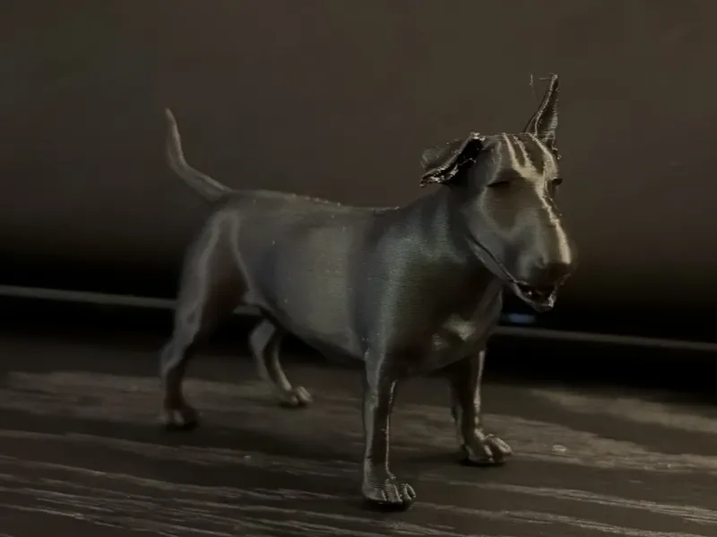 Bull Terrier standaard body