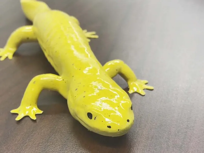 Tiger Salamander - Easy Print