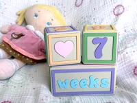 A1 Mini plates