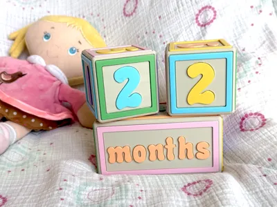 Baby Milestone Blocks