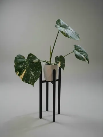 Soporte: 30cm High Plant Stand — vista de referencia 2