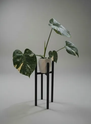 Soporte: 30cm High Plant Stand — vista de referencia 3