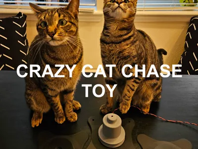 Crazy Cat Chase Toy - V1