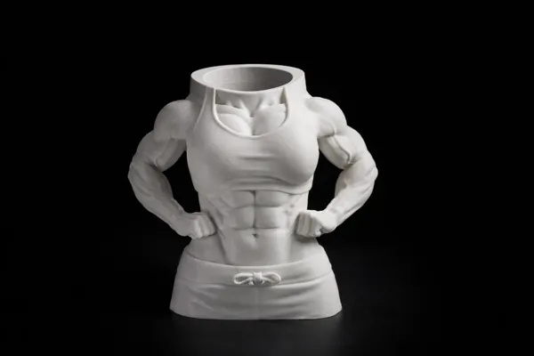 https://makerworld.bblmw.com/makerworld/model/US5e18e102b6ff42/design/2026-01-18_ahdkmlwgxi34.png