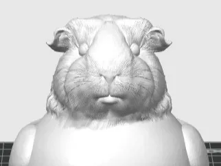 Guinea Pig Duckie