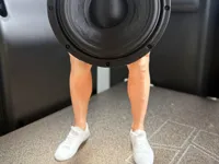 0.2mm layer, 2 walls, 6% infill