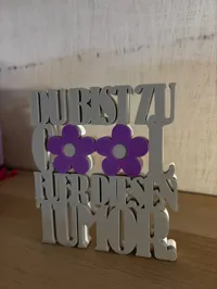 0.16mm layer, 2 walls, 15% infill