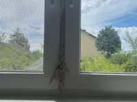 0.2mm layer, 2 walls, 4% infill