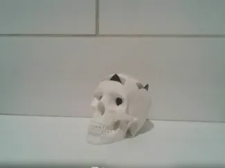 skull pick holder