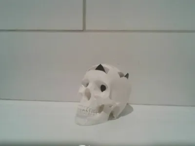 skull pick holder