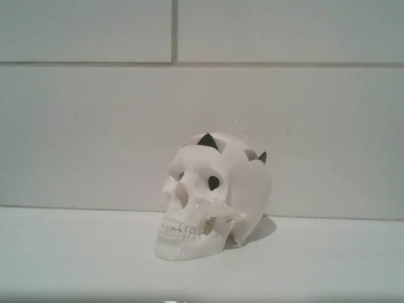 skull pick holder