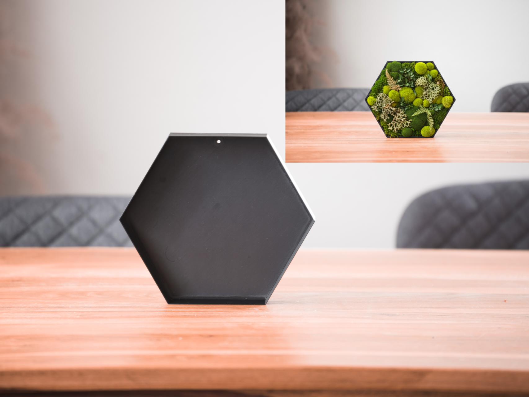 Modern Hexagon Moss Wall Art - Minimalist Decor