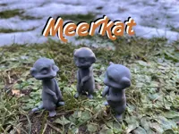 Suricate mignon — photo 2