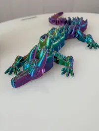 Dragon étoilé — photo 2