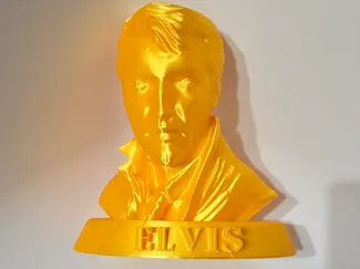 Elvis Presley  Bust Stand
