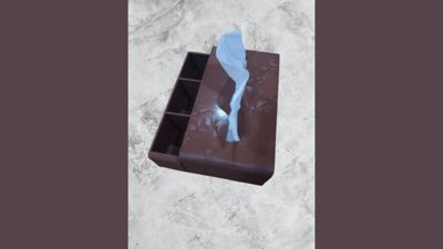 Tissue box with compartments