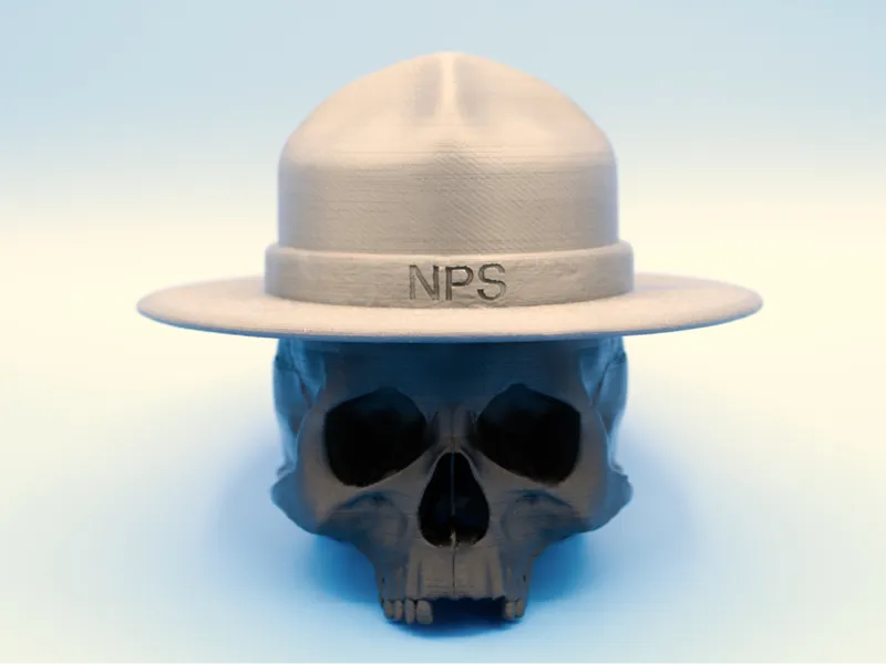Resistance Rangers Skull