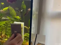 0.2mm layer, 2 walls, 5% infill