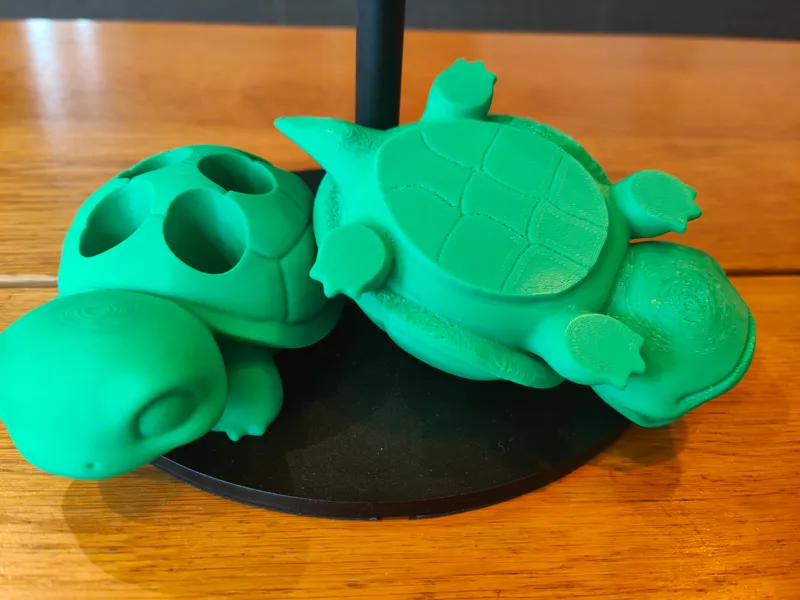 turtle (doTERRA box)