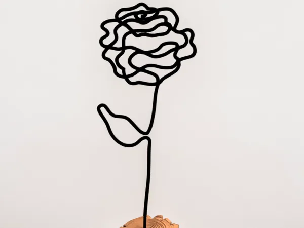 https://makerworld.bblmw.com/makerworld/model/US5e4bb2c7579849/design/2025-02-12_0962508581eed.png