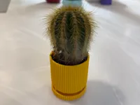 0.2mm layer, 2 walls, 5% infill