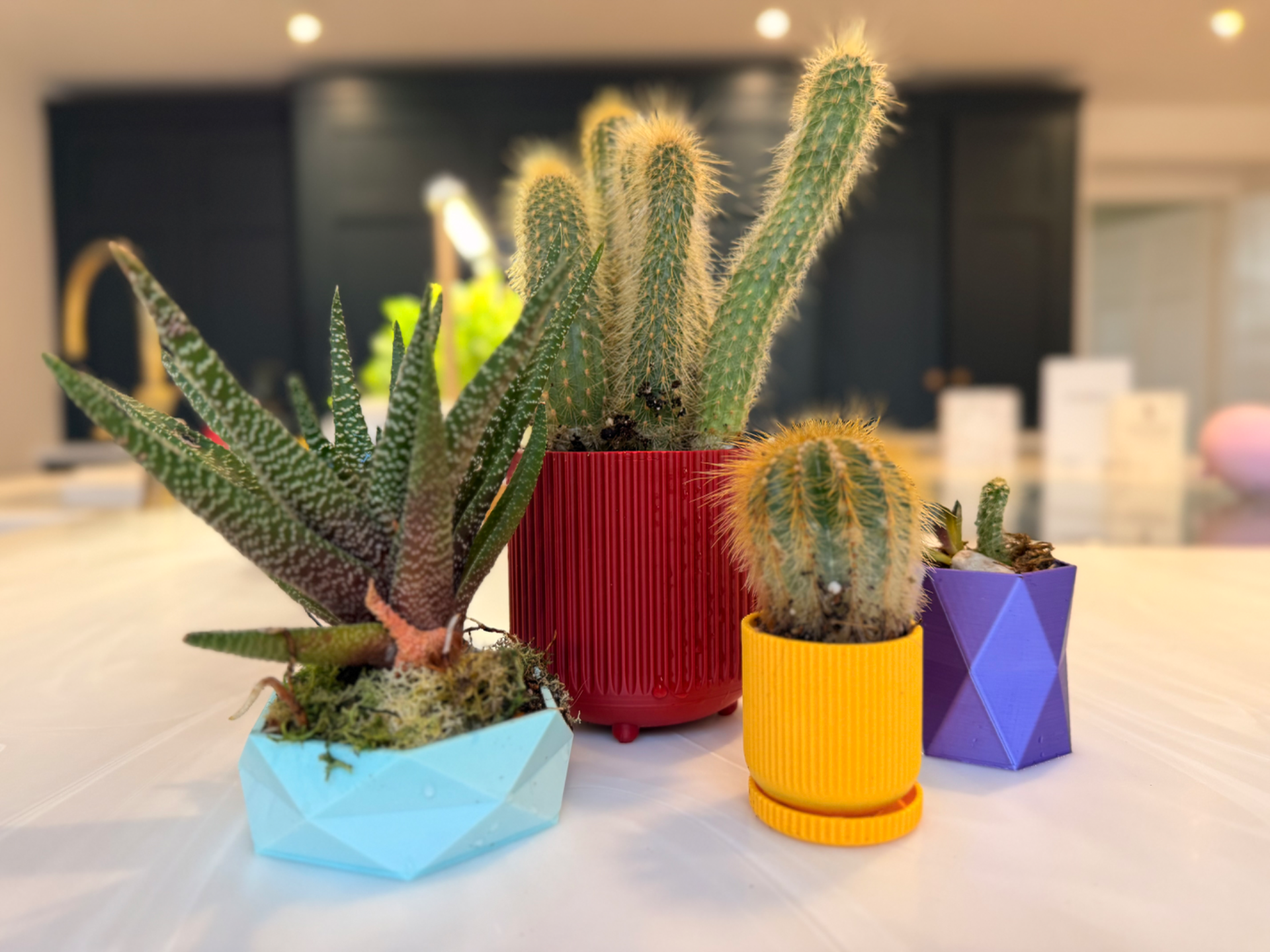 Fluted planter with drip tray