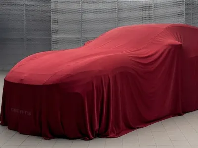 Ferari under cover