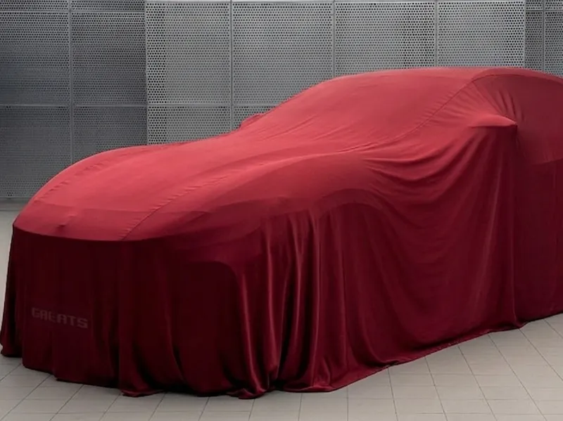 Ferari under cover