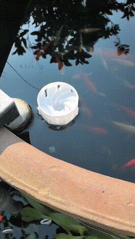 除油膜浮头