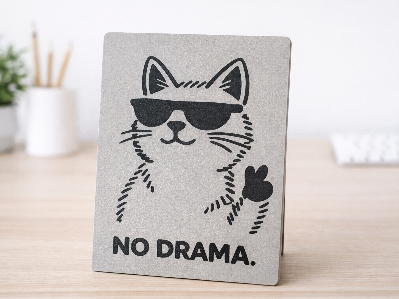 Cat Snap-In Desk Sign – NO DRAMA | Easy Assembly