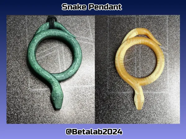 https://makerworld.bblmw.com/makerworld/model/US5e5caab6b32467/design/2025-01-10_2317bf37eb4df.png
