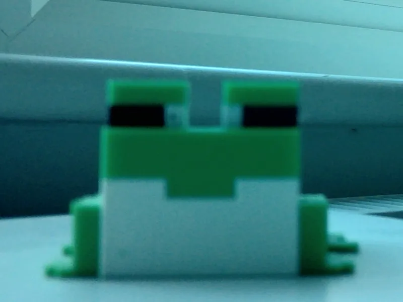 Minecraft Frog