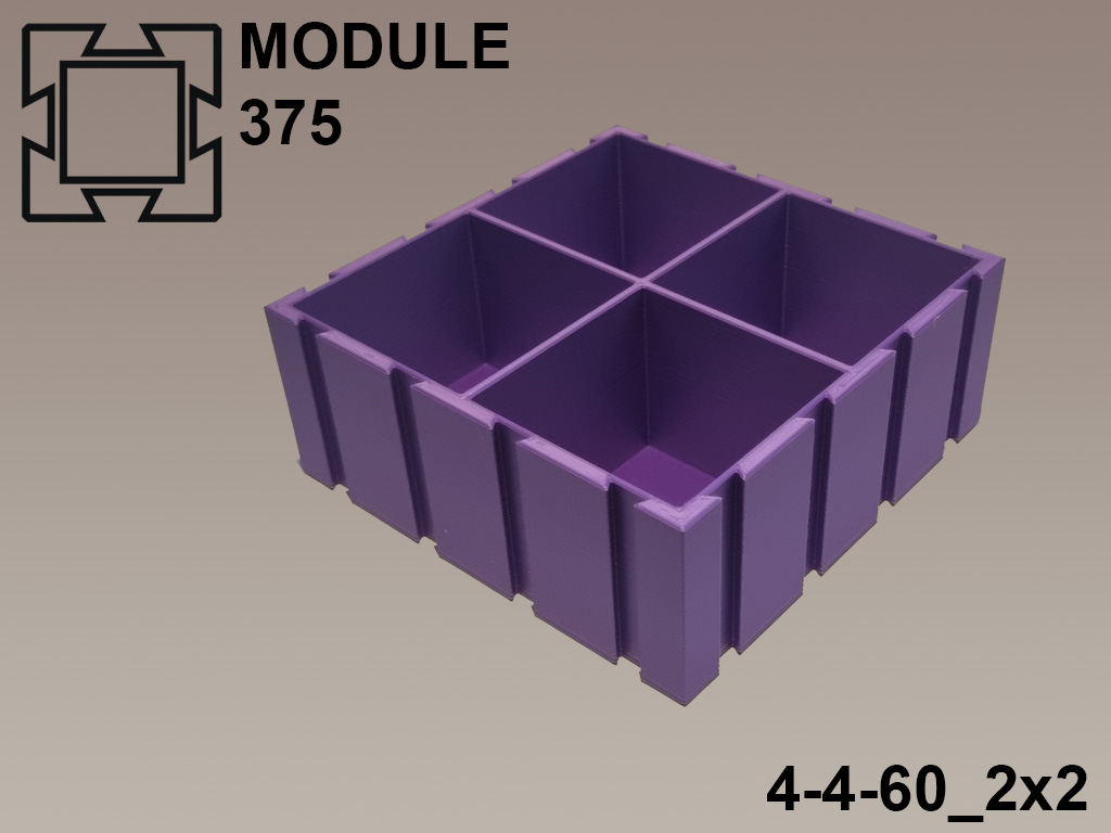 Module375 | 4-4-60_2x2
