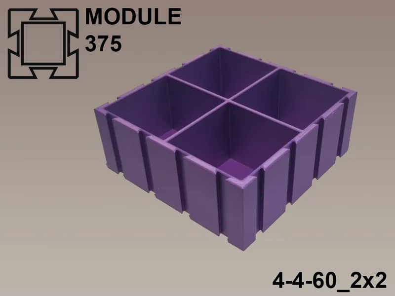 Module375 | 4-4-60_2x2