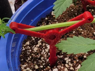 BranchGuide LST Plant Training Stake System