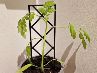 Plant holder square
