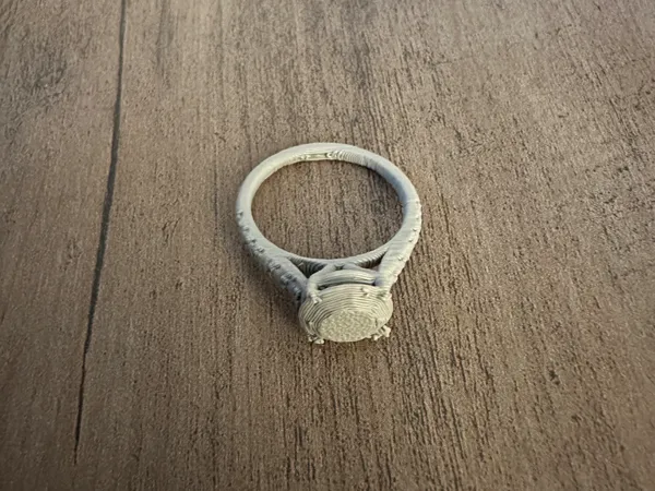 https://makerworld.bblmw.com/makerworld/model/US5e64050c5a341a/design/2025-01-26_98ee316825acf8.jpeg