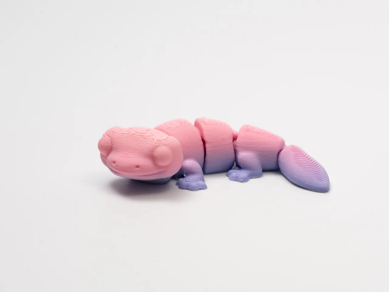Flexi Gecko view 2