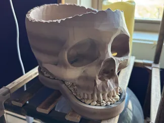 Skull Planter in Two Sizes with Drip Tray