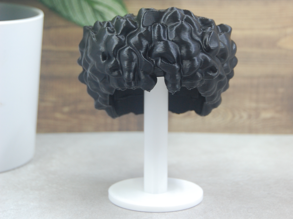 500% Brick Hairstyle - Curly Afro