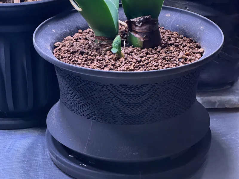 Planter8