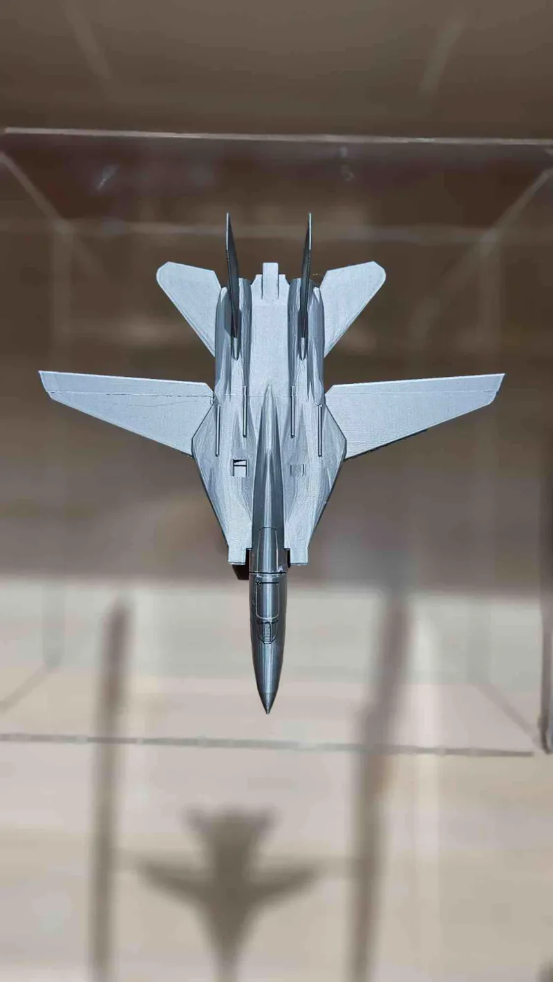F14 Tomcat (Glue Required)
