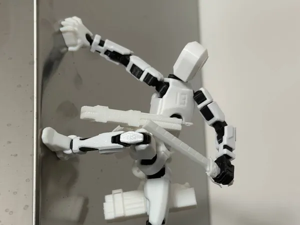 https://makerworld.bblmw.com/makerworld/model/US5e78178b0f0563/design/2025-02-02_16c4d6187fd5e.jpg