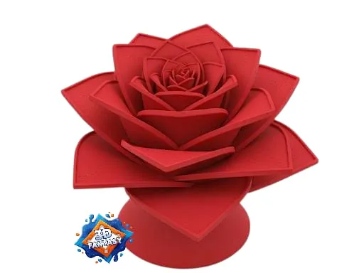 Rosa Eterna geometrica (speciale S.Valentino)