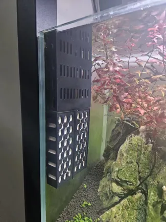 小鱼小虾苗躲避蜂窝挂盒