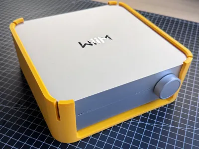 Halter WiiM Amp / WiiM Amp Pro