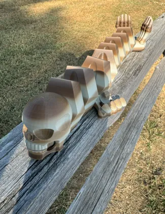 Coffin Skull Dragon