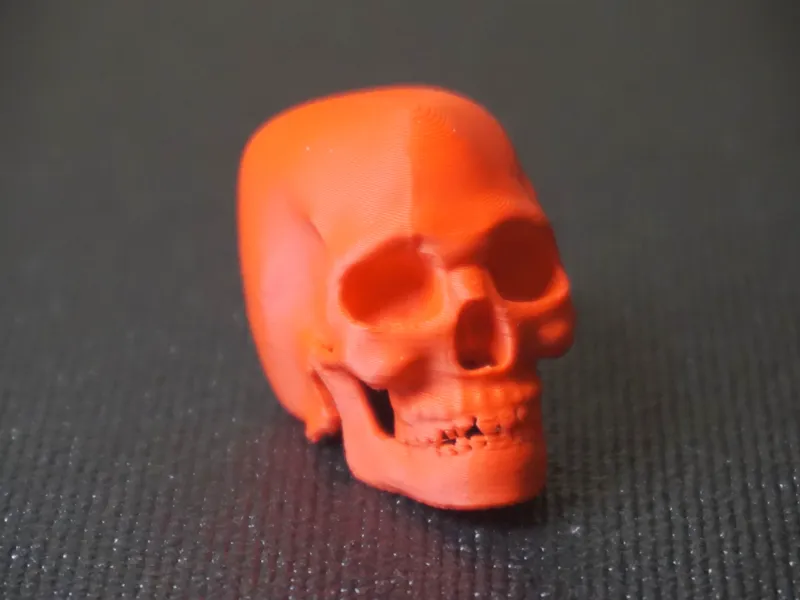 Skull