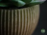 Малка минималистична саксия