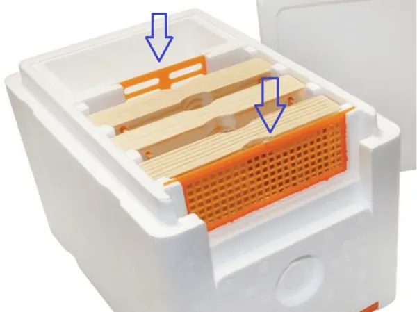 https://makerworld.bblmw.com/makerworld/model/US5e9909eea3f2b2/design/2025-04-11_ac20905643bda.jpg